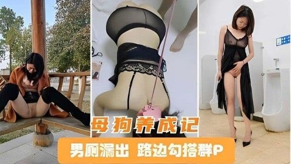 母狗养成记,男厕漏出,路边勾搭群P