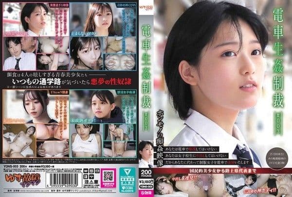 YDNS-003 電車性侵制裁 ＃003