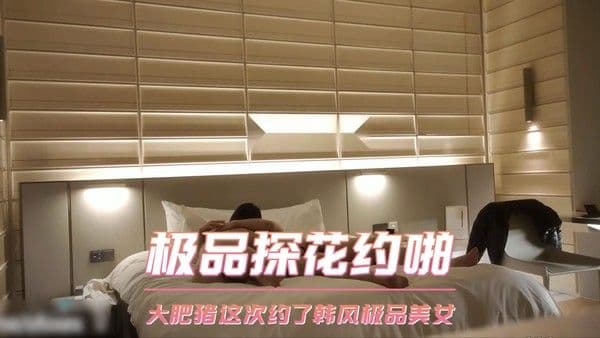 极品探花约啪  大肥猪这次约了韩风极品美女 第二部
