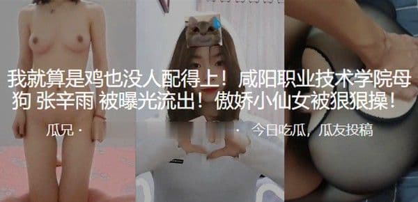 我就算是鸡也没人配得上咸阳职业技术学院母狗张辛雨被.曝光流出傲娇小仙女被狠狠操