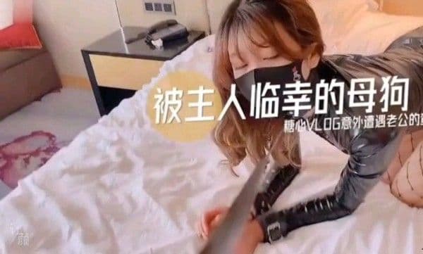 被主人临幸的小女狗.母狗