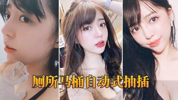 厕所马 桶自动式抽插