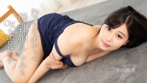 HEYZO-2500  身材豐滿的巨乳妹子是肛交OK的情色婊
