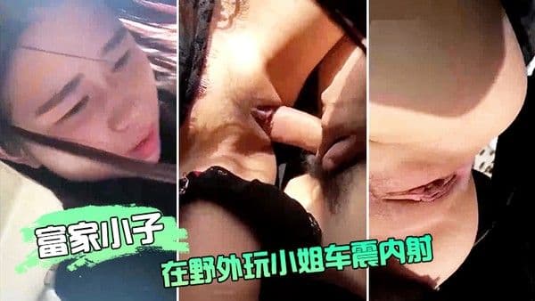 富.家小.子在野..外玩小.姐车.震内.射