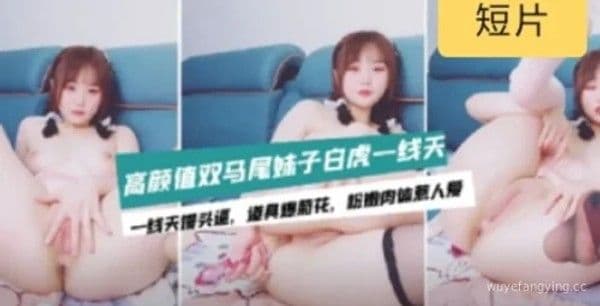 双马尾清纯萝莉的初次挑战