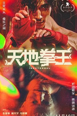 天地拳王粤语